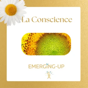 Guide - Qu’est ce que La Conscience ?